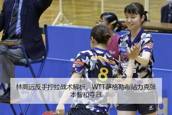 lin-gao-yuan-fan-shou-ning-la-zhan-shu-jie-xi-sa-ge-lei-bu-zhan-li-ke-zhang-ben-zhi-he-duo-guan-2-229.jpg
